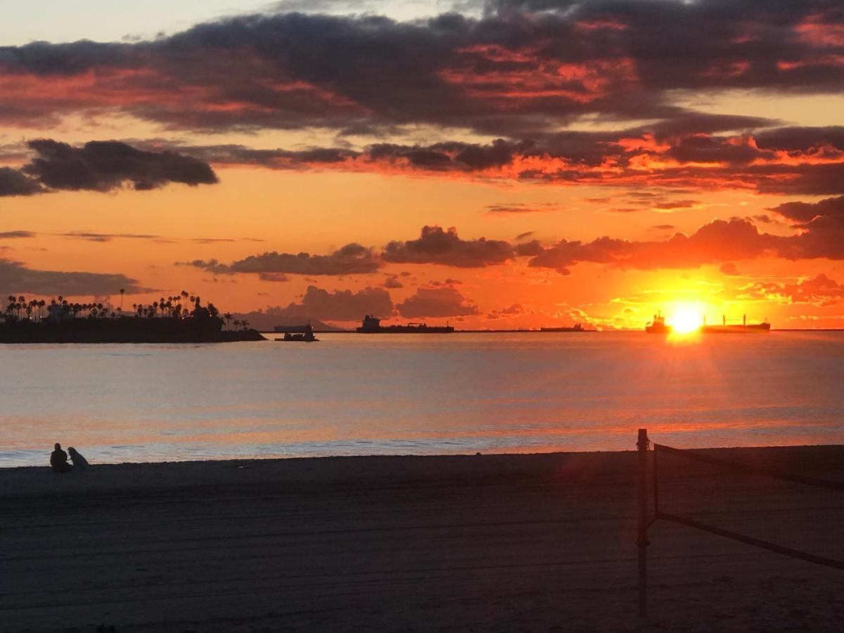 New Belmont Shore Retreat With Free Parking Walk To Beaches Long Beach Kültér fotó